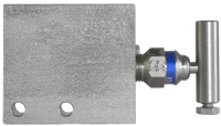 PGI Int'l Two-Valve Manifold